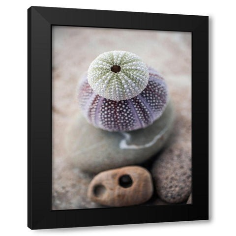 Gifts of the Shore VIII Black Modern Wood Framed Art Print with Double Matting by Ray, Elena