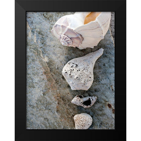Gifts of the Shore IX Black Modern Wood Framed Art Print by Ray, Elena