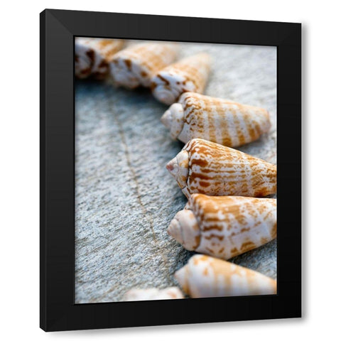 Gifts of the Shore X Black Modern Wood Framed Art Print by Ray, Elena