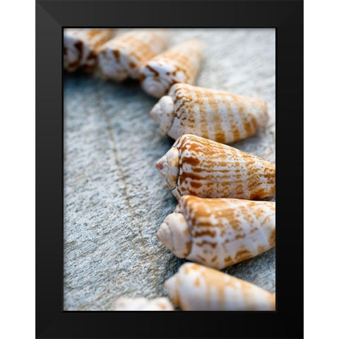 Gifts of the Shore X Black Modern Wood Framed Art Print by Ray, Elena