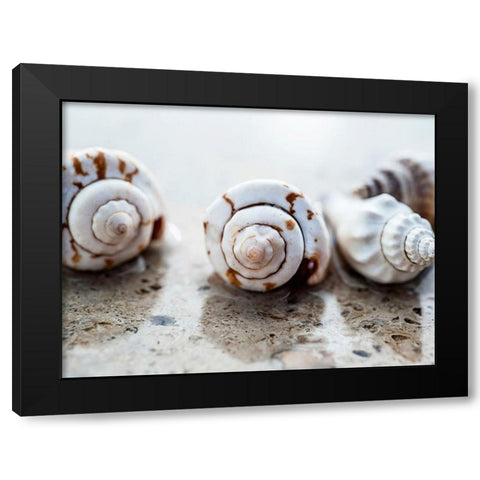 Gifts of the Shore XVIII Black Modern Wood Framed Art Print with Double Matting by Ray, Elena