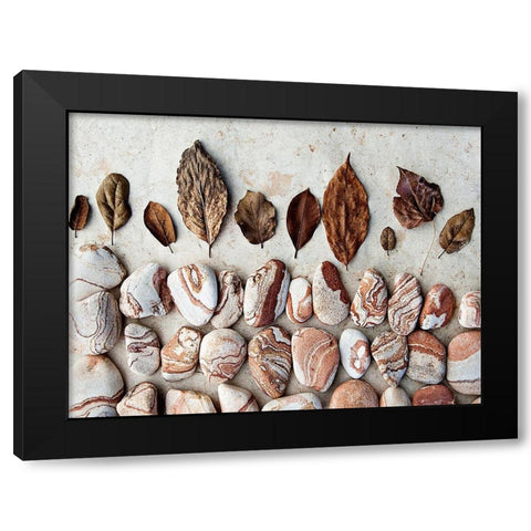 Gifts of the Earth II Black Modern Wood Framed Art Print with Double Matting by Ray, Elena