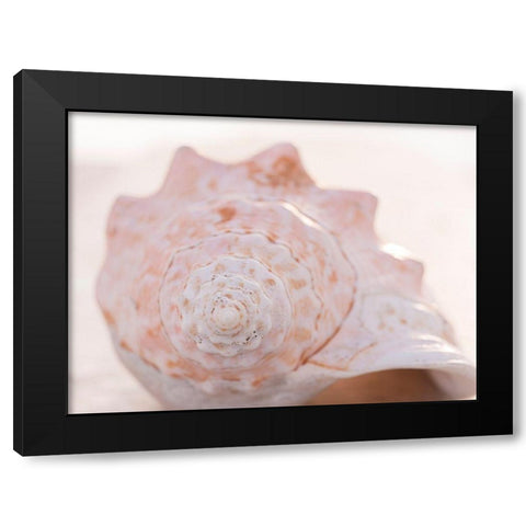 Shell Portrait I Black Modern Wood Framed Art Print by Ray, Elena