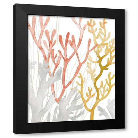 Desert Coral I Black Modern Wood Framed Art Print by Popp, Grace