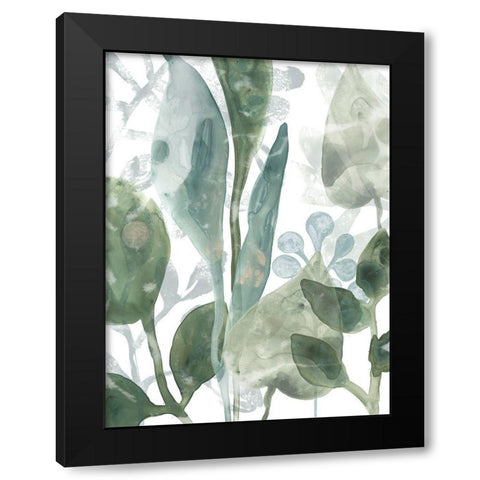Aquatic Leaves III Black Modern Wood Framed Art Print with Double Matting by Vess, June Erica