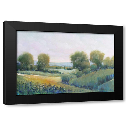 Paysage II Black Modern Wood Framed Art Print with Double Matting by OToole, Tim