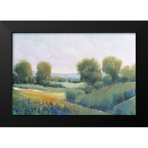 Paysage II Black Modern Wood Framed Art Print by OToole, Tim