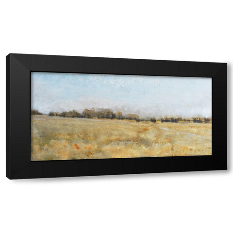 Harvest Field II Black Modern Wood Framed Art Print with Double Matting by OToole, Tim