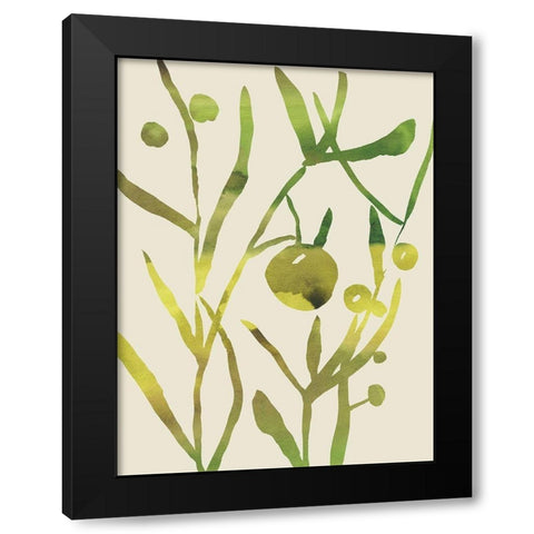 Spring Sprig II Black Modern Wood Framed Art Print with Double Matting by Zarris, Chariklia