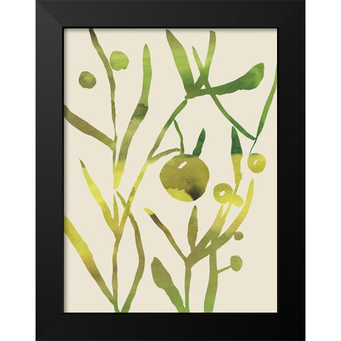 Spring Sprig II Black Modern Wood Framed Art Print by Zarris, Chariklia