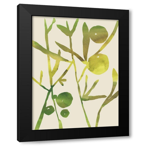 Spring Sprig III Black Modern Wood Framed Art Print with Double Matting by Zarris, Chariklia