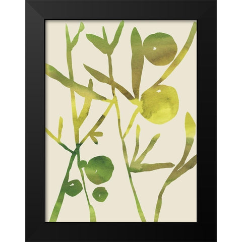 Spring Sprig III Black Modern Wood Framed Art Print by Zarris, Chariklia