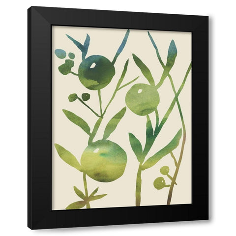 Spring Sprig IV Black Modern Wood Framed Art Print with Double Matting by Zarris, Chariklia