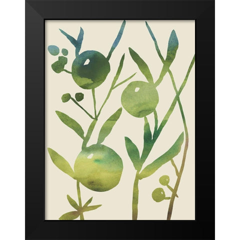 Spring Sprig IV Black Modern Wood Framed Art Print by Zarris, Chariklia