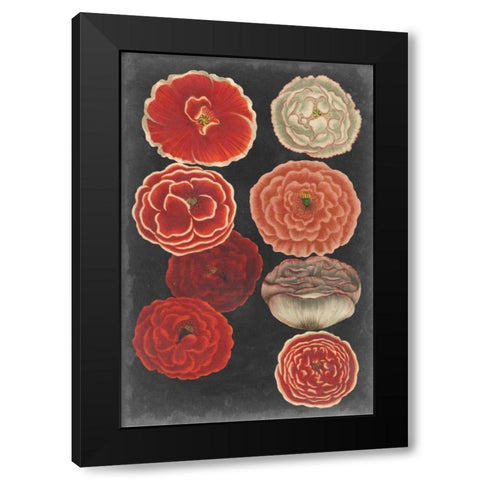 Midnight Poppies Black Modern Wood Framed Art Print by Vision Studio