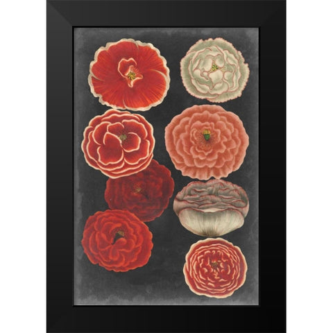 Midnight Poppies Black Modern Wood Framed Art Print by Vision Studio