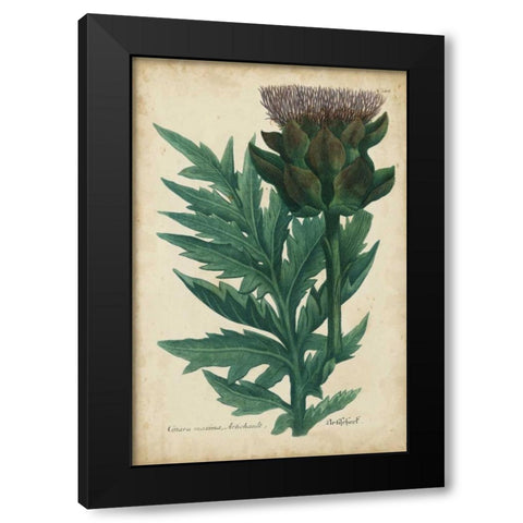Weinmann Foliage and Fruit II Black Modern Wood Framed Art Print by Weinmann