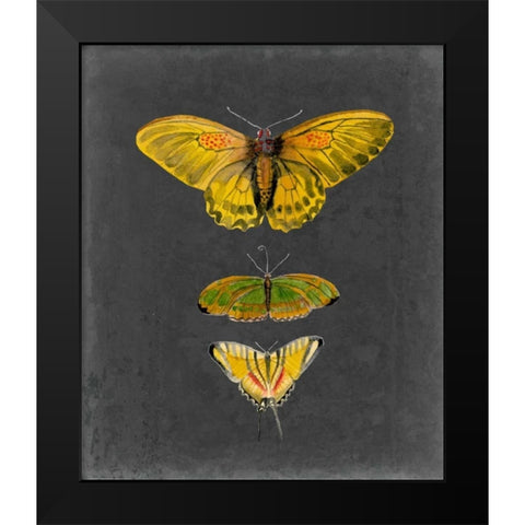 Butterflies on Slate I Black Modern Wood Framed Art Print by McCavitt, Naomi