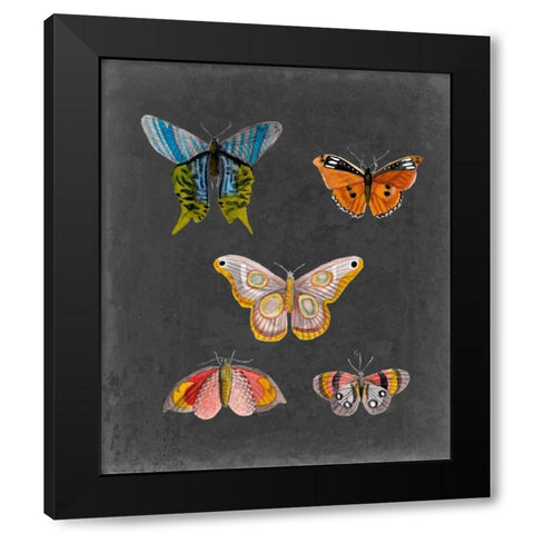 Butterflies on Slate II Black Modern Wood Framed Art Print with Double Matting by McCavitt, Naomi
