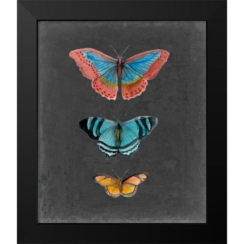 Butterflies on Slate III Black Modern Wood Framed Art Print by McCavitt, Naomi