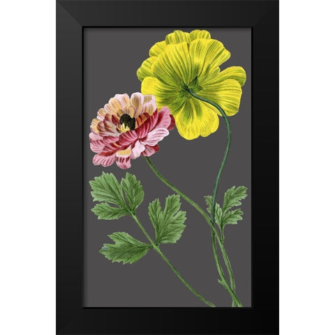 30x18 Midnight Garden Varieties I (ASH) Black Modern Wood Framed Art Print by Vision Studio