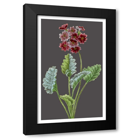 Midnight Garden Varieties VI Black Modern Wood Framed Art Print by Vision Studio