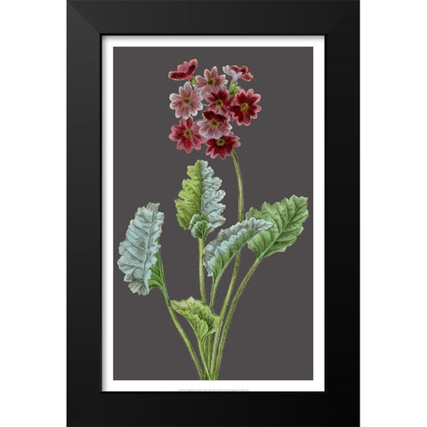 Midnight Garden Varieties VI Black Modern Wood Framed Art Print by Vision Studio