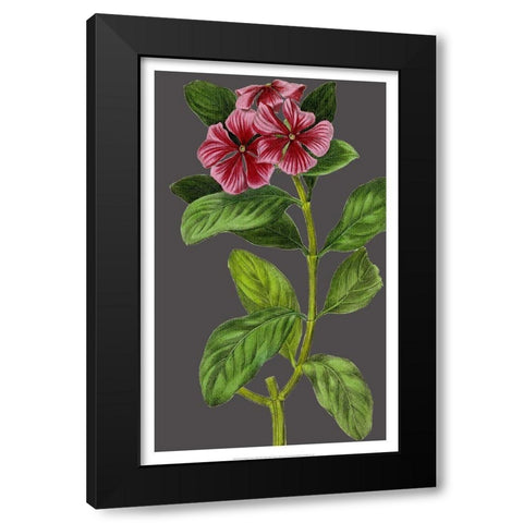 Midnight Garden Varieties IX Black Modern Wood Framed Art Print by Vision Studio