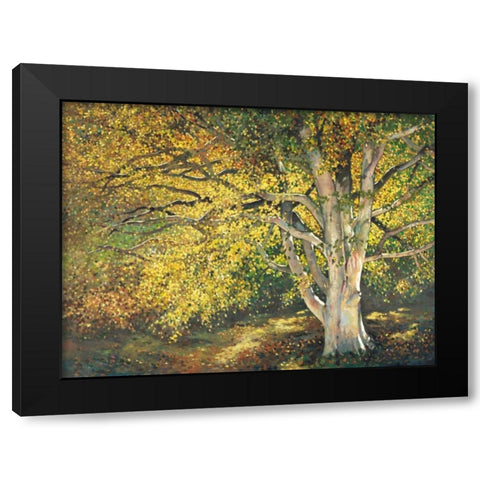 Golden Light I Black Modern Wood Framed Art Print with Double Matting by Reynolds, Graham