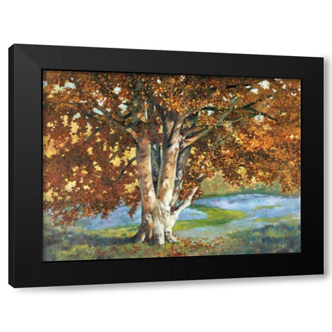 Golden Light II Black Modern Wood Framed Art Print with Double Matting by Reynolds, Graham