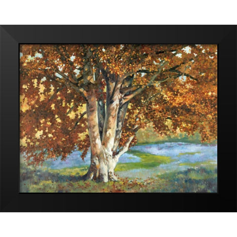 Golden Light II Black Modern Wood Framed Art Print by Reynolds, Graham