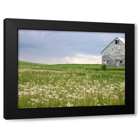 Barn Scape II Black Modern Wood Framed Art Print with Double Matting by Blixt, Ingrid