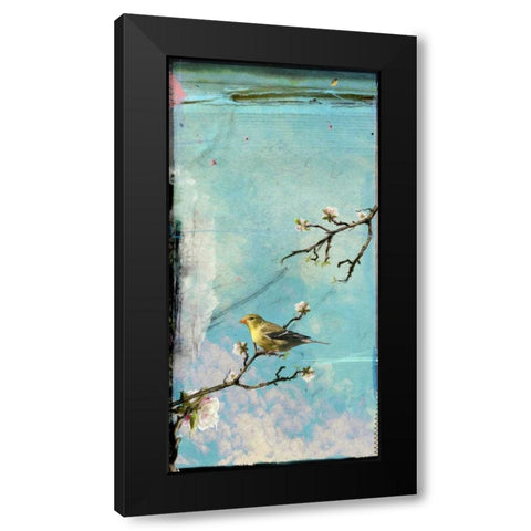 Bird Window II Black Modern Wood Framed Art Print with Double Matting by Blixt, Ingrid