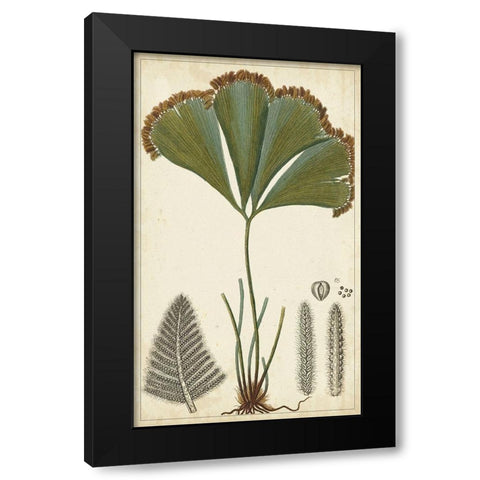 40x24 Foliage Botanique I (ASH) Black Modern Wood Framed Art Print with Double Matting by Turpin