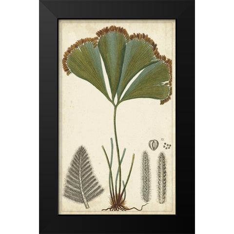 40x24 Foliage Botanique I (ASH) Black Modern Wood Framed Art Print by Turpin