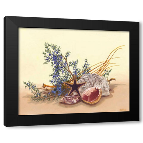 Sea Still Life I Black Modern Wood Framed Art Print with Double Matting by Miller, Dianne