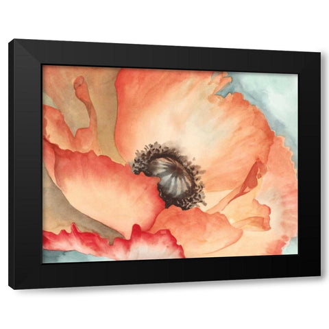 Watercolor Poppy II Black Modern Wood Framed Art Print with Double Matting by Meagher, Megan