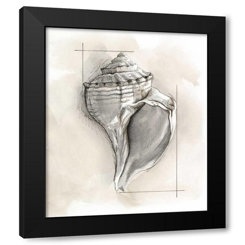 Shell Schematic I Black Modern Wood Framed Art Print by Meagher, Megan
