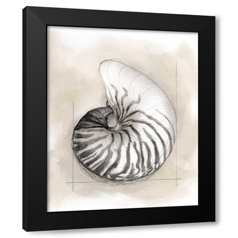 Shell Schematic II Black Modern Wood Framed Art Print with Double Matting by Meagher, Megan