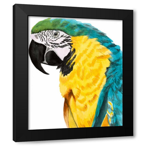 Watercolor Parrot Black Modern Wood Framed Art Print by McCavitt, Naomi
