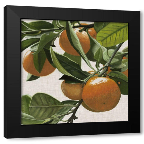 Bright Citrus I Black Modern Wood Framed Art Print with Double Matting by McCavitt, Naomi