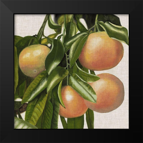 Bright Citrus II Black Modern Wood Framed Art Print by McCavitt, Naomi