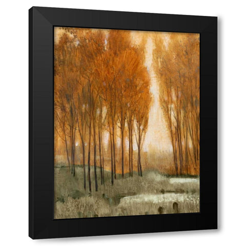 Golden Forest II Black Modern Wood Framed Art Print with Double Matting by OToole, Tim