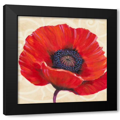 Red Poppy I Black Modern Wood Framed Art Print with Double Matting by OToole, Tim