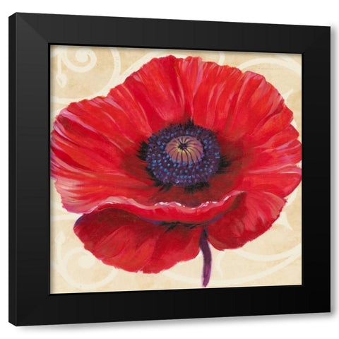 Red Poppy II Black Modern Wood Framed Art Print with Double Matting by OToole, Tim