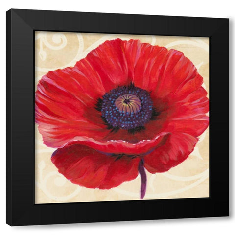 Red Poppy II Black Modern Wood Framed Art Print by OToole, Tim