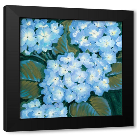 Blue Hydrangeas I Black Modern Wood Framed Art Print with Double Matting by OToole, Tim