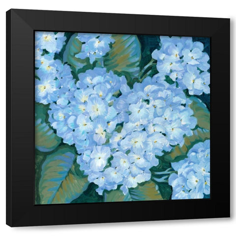 Blue Hydrangeas II Black Modern Wood Framed Art Print with Double Matting by OToole, Tim