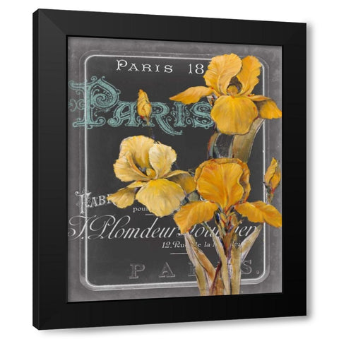 Chalkboard Paris IV Black Modern Wood Framed Art Print with Double Matting by Studio W