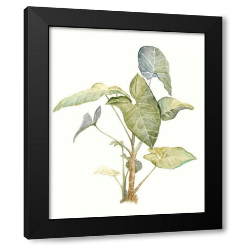 Tropical Watercolor Leaves IV Black Modern Wood Framed Art Print with Double Matting by Meagher, Megan